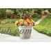 Better Homes and Gardens Greythorne 20 in. Outdoor Planter - Set of 2   566852283